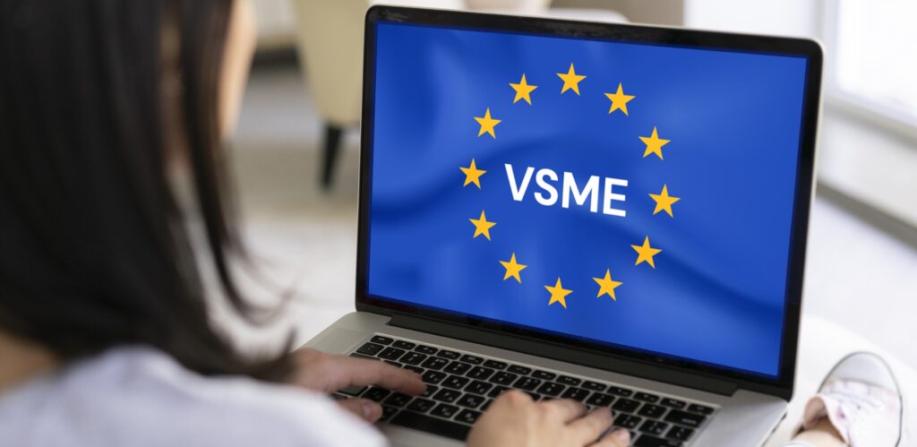 immagini blog tecno 4 Standard VSME: la rendicontazione di sostenibilità che parla la lingua delle PMI